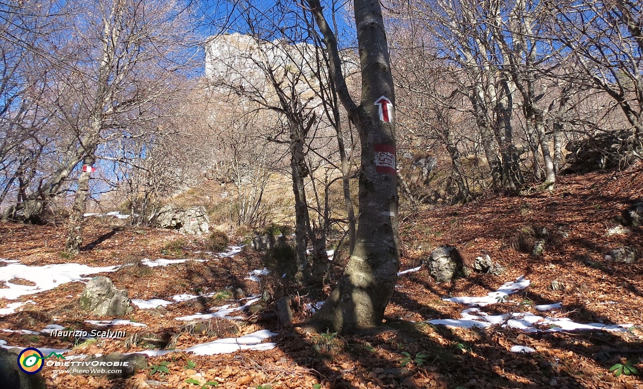 32 Un'ultima freccia, si esce dal bosco....JPG